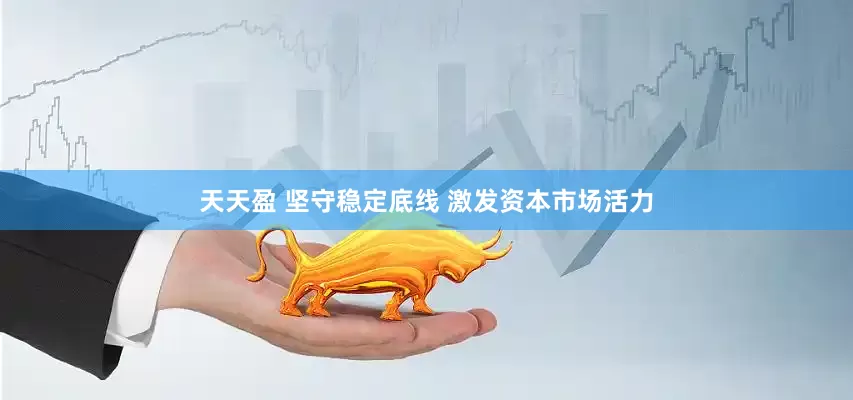 天天盈 坚守稳定底线 激发资本市场活力