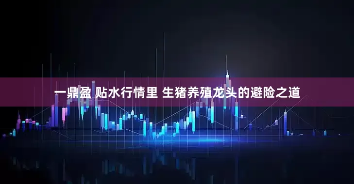 一鼎盈 贴水行情里 生猪养殖龙头的避险之道